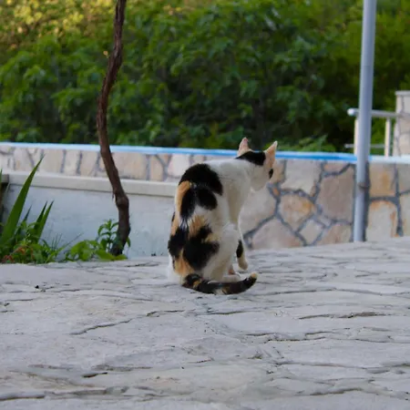 Stone Oasis House - With Panoramic View * Mostar